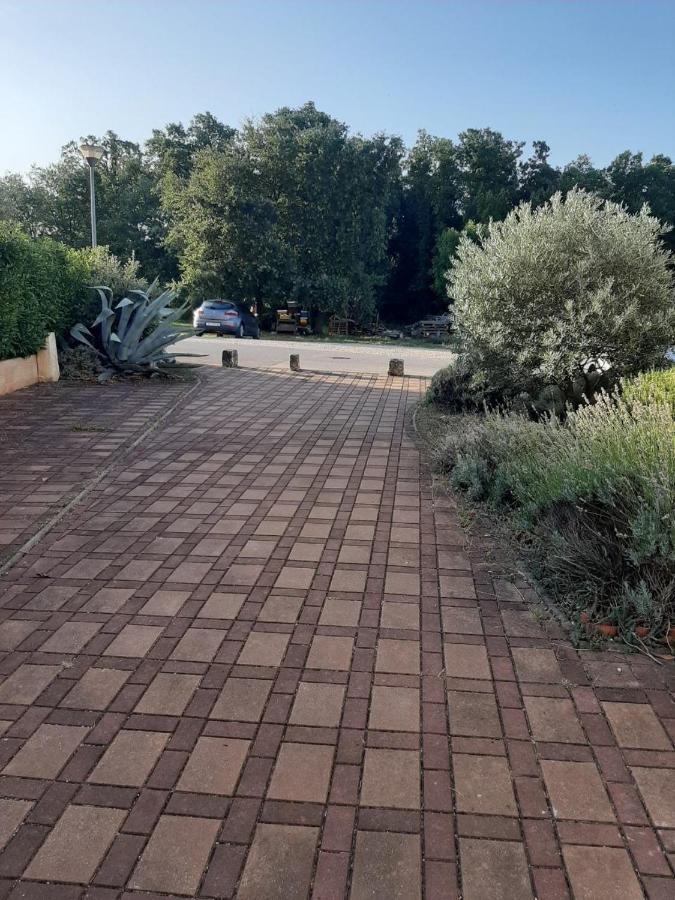 Medo Apartment Novigrad Istria Exterior foto